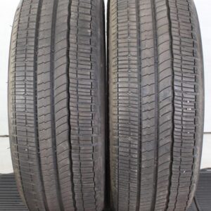 2x 195/55R16 91Q MICHELIN ENERGY E-V SOMMERREIFEN 2012 XL #1WRD